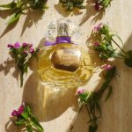 عطر ادکلن کِلکس فِلِرز رویال کالکشن پریوه اوبیگان - Quelques Fleurs Royale Collection Privee Houbigant - بررسی، قیمت و خرید