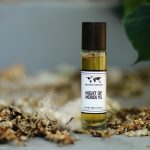 عطر ادکلن نایت آف نوردلیس دیسکاوری پرفیومز - Night of Nordlys Discovery Perfumes - بررسی، قیمت و خرید