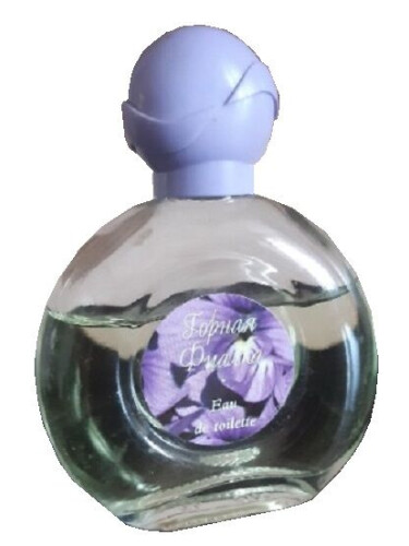 عطر ادکلن گورنی فیتالکا سِوِرنو سیاِنِیِه - Горная фиалка Северное сияние - بررسی، قیمت و خرید