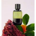 عطر ادکلن بِرِزا جِنتیل برونلو کوچینلی - Brezza Gentile Brunello Cucinelli - بررسی، قیمت و خرید