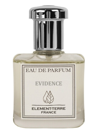 عطر ادکلن ایویدنس اِلِمِنت تِره - Evidence Element Terre - بررسی، قیمت و خرید