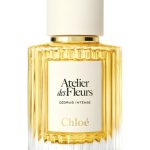 عطر ادکلن سدروس اینتنس کلوئه - Cedrus Intense Chloé - بررسی، قیمت و خرید