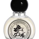 عطر ادکلن وینترسوئیت اینویر - Wintersweet 腊梅 Aynoir 安喏 - بررسی، قیمت و خرید