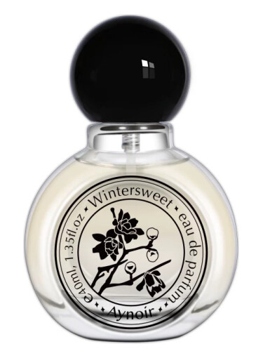 عطر ادکلن وینترسوئیت اینویر - Wintersweet 腊梅 Aynoir 安喏 - بررسی، قیمت و خرید