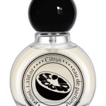 عطر ادکلن سیتروس اینو - Citrus 柑橘 Aynoir 安喏 - بررسی، قیمت و خرید
