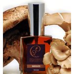 عطر ادکلن ایندولیس پروویدنس پرفیوم کو - Indolice Providence Perfume Co. - بررسی، قیمت و خرید