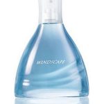 عطر ادکلن ویند اسکیپ فور هیم اِیوون - Windscape for Him Avon - بررسی، قیمت و خرید
