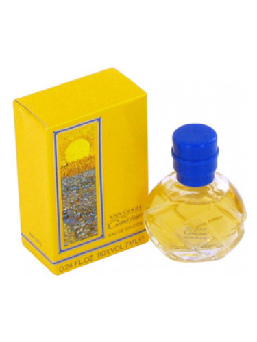 عطر ادکلن گرند فلوری وینسنت ونگوگ - Grand Fleuri Vincent van Gogh - بررسی، قیمت و خرید