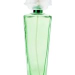 عطر ادکلن گاردنیا الیزابت تیلور - Gardenia Elizabeth Taylor - بررسی، قیمت و خرید
