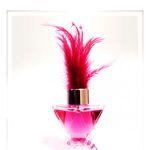 عطر ادکلن دانا عربیان عود - Donna Arabian Oud - بررسی، قیمت و خرید
