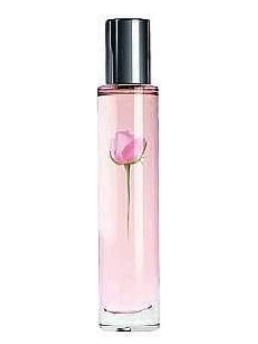 عطر ادکلن شیر روز اِیوون - Sheer Rose Avon - بررسی، قیمت و خرید