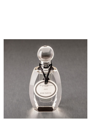 عطر ادکلن لیلی سیگنیچر فراگرنسز - Lily Signature Fragrances - بررسی، قیمت و خرید