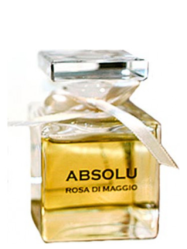 عطر ادکلن ابسولو رزا دی مگیو دیادما اکسکلوسیو - Absolu Rosa Di Maggio Diadema Exclusif - بررسی، قیمت و خرید