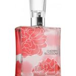 عطر ادکلن چری بلوسم بث اند بادی ورکز - Cherry Blossom Bath & Body Works - بررسی، قیمت و خرید
