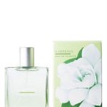 عطر ادکلن گاردنیا بث اند بادی ورکز - Gardenia Bath & Body Works - بررسی، قیمت و خرید