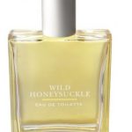 عطر ادکلن وایلد هانی‌ساکل بت اند بادی ورکز - Wild Honeysuckle Bath & Body Works - بررسی، قیمت و خرید