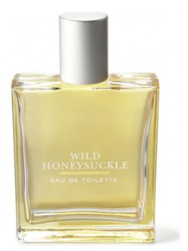 عطر ادکلن وایلد هانی‌ساکل بت اند بادی ورکز - Wild Honeysuckle Bath & Body Works - بررسی، قیمت و خرید