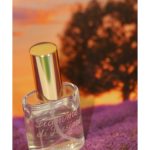 عطر ادکلن فیام دی پاسیون فرانچسکو ویتلی پرفیومز - Fiamme di Passione Francesco Vitelli Perfumes - بررسی، قیمت و خرید