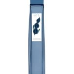 عطر ادکلن هوکو فور هیم آناياکه - Hokou for Him Annayake - بررسی، قیمت و خرید