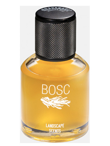 عطر ادکلن باسک برواناریز - Bosc Bravanariz - بررسی، قیمت و خرید