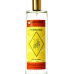 عطر ادکلن میموسا ایزنارد - Mimosa Isnard - بررسی، قیمت و خرید