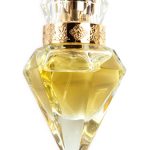 عطر ادکلن میوزیوم تو میوزیم پارفوم - Museum II Museum Parfums - بررسی، قیمت و خرید