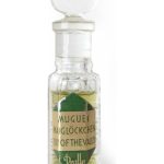 عطر ادکلن مای‌گلکشن دراله - Maiglöckchen Dralle - بررسی، قیمت و خرید