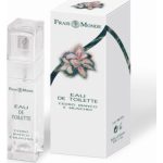 عطر ادکلن وایت ماس اند سدار فره موند - White Moss and Cedar Frais Monde - بررسی، قیمت و خرید