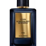 عطر ادکلن میرجز سام ولوت مورنینگ پرادا - Mirages Some Velvet Morning Prada - بررسی، قیمت و خرید
