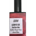 عطر ادکلن سورا آل یور پرسنال آرما - Suraa All Your Personal Aroma - بررسی، قیمت و خرید