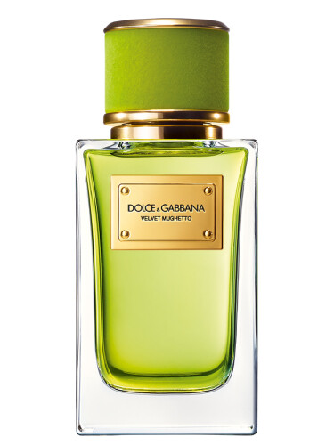 عطر ادکلن ولوت موگتو دولچه گابانا - Velvet Mughetto Dolce&Gabbana - بررسی، قیمت و خرید