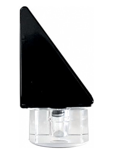 عطر ادکلن سورهوم نویر پارفوم دو نیچه - Surhomme Noir Parfums de Nietzsche - بررسی، قیمت و خرید