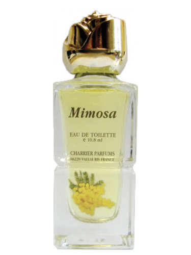 عطر ادکلن می‌موزا چارریه پارفومز - Mimosa Charrier Parfums - بررسی، قیمت و خرید