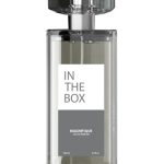 عطر ادکلن مگنیفیک این دِ باکس - Magnifique In The Box - بررسی، قیمت و خرید