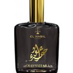 عطر ادکلن اود صحرا ال نبیل - Oud Sahara El Nabil - بررسی، قیمت و خرید