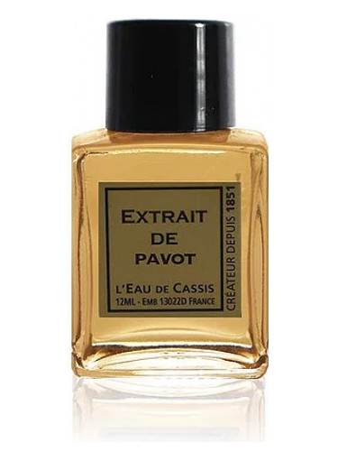 عطر ادکلن پاوت لو دو کاسی - Pavot L'Eau De Cassis - بررسی، قیمت و خرید