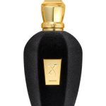 عطر ادکلن نرو هفتاد زرژوف - Nero 70 Xerjoff - بررسی، قیمت و خرید