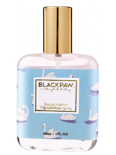 عطر ادکلن اسوان بِلَک پاو - Swan Black Paw - بررسی، قیمت و خرید