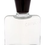 عطر ادکلن کاپوچی پور هوم روبرتو کاپوجی - Capucci Pour Homme Roberto Capucci - بررسی، قیمت و خرید