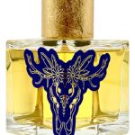 عطر ادکلن کوچا نایتس جیپسی استوری - Kocha Nights Gypsy Story - بررسی، قیمت و خرید