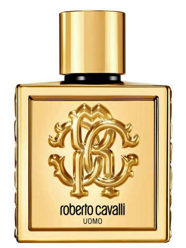 عطر ادکلن روبرتو کاوالی اومو گولدن انیورسری روبرتو کاوالی - Roberto Cavalli Uomo Golden Anniversary Roberto Cavalli - بررسی، قیمت و خرید