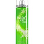 عطر ادکلن فراستد وینتر وودز بت اند بادی ورکز - Frosted Winter Woods Bath & Body Works - بررسی، قیمت و خرید