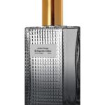 عطر ادکلن امبر روژ ادگاردیو چیلی‌نی - Amber Rouge Edgardio Chilini - بررسی، قیمت و خرید