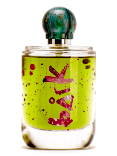 عطر ادکلن بارک اند فراگرنسز - Bårk ånd fragrances - بررسی، قیمت و خرید