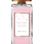 عطر ادکلن رُزا گاندینی ۱۸۹۶ - Rosa Gandini 1896 - بررسی، قیمت و خرید