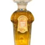 عطر ادکلن لوریس سوزه - Lauris Sauzé - بررسی، قیمت و خرید