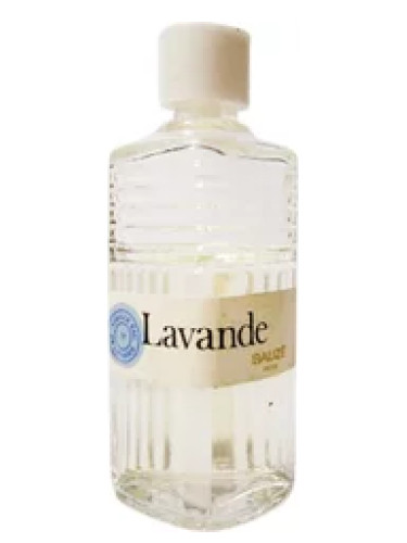 عطر ادکلن لاواند سوزه - Lavande Sauzé - بررسی، قیمت و خرید