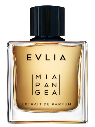 عطر ادکلن اولیا میا پانجیا - Evlia Mia Pangea - بررسی، قیمت و خرید