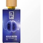عطر ادکلن هیز بلو اینتوشن د دوآ برند - His Blue Intuition The Dua Brand - بررسی، قیمت و خرید