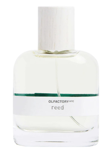 عطر ادکلن رید الفکتوری نیویورک - Reed Olfactory NYC - بررسی، قیمت و خرید